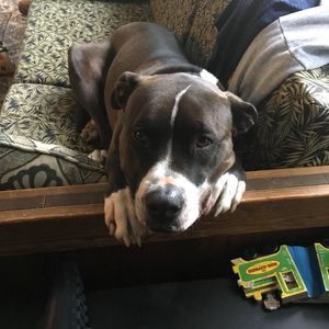 Meet your Posher, Emma